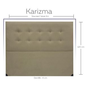 Karizma Başlık