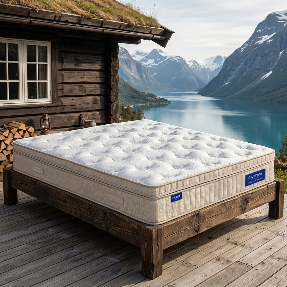 MoldePlus_New01