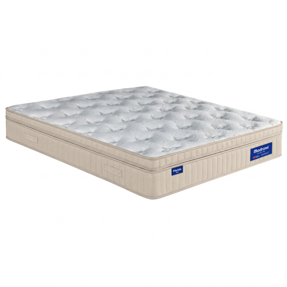 MoldePlus_New02